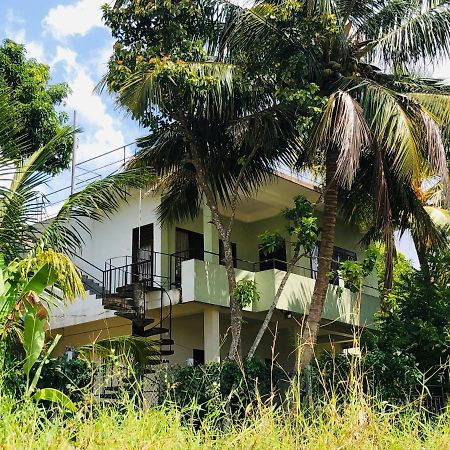 Rice Field View Home Stay Tangalle Eksteriør billede