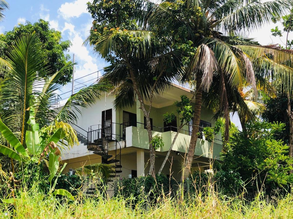 Rice Field View Home Stay Tangalle Eksteriør billede