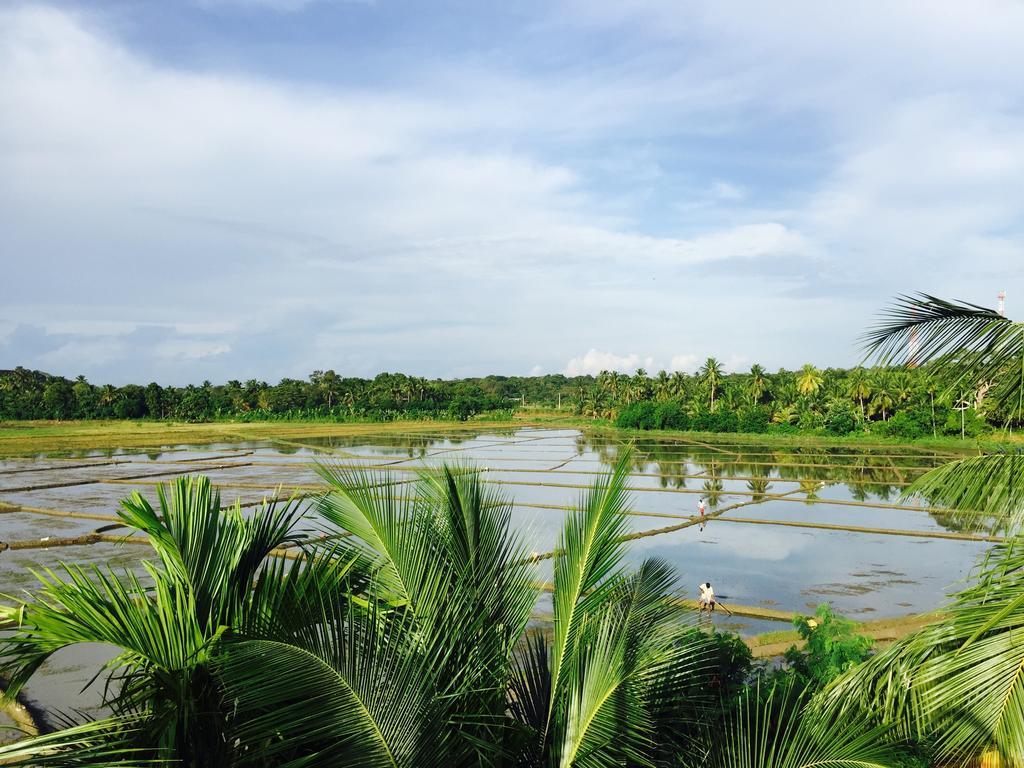 Rice Field View Home Stay Tangalle Værelse billede