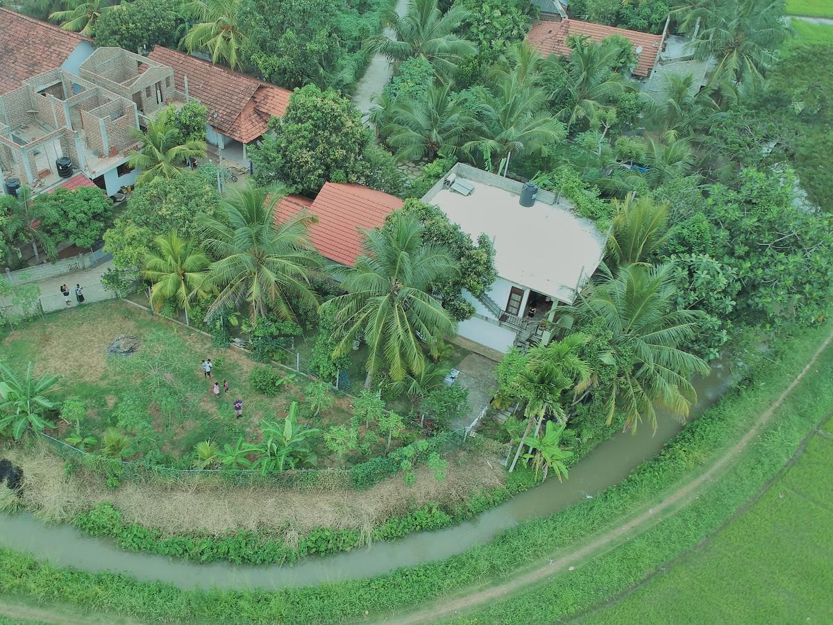 Rice Field View Home Stay Tangalle Eksteriør billede